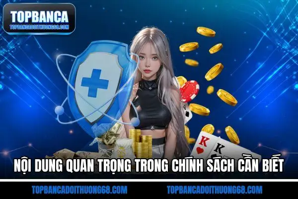Nội dung quan trọng trong chính sách cần biết