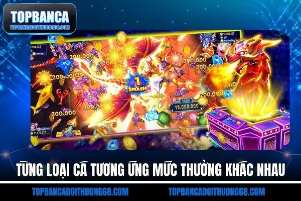 Từng loại cá tương ứng mức thưởng khác nhau